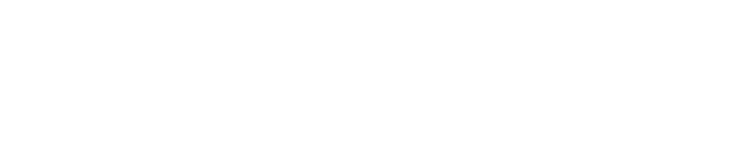Parathon Logo White